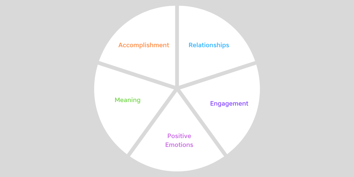 Pie chart split into the 5 elements of the PERMA model